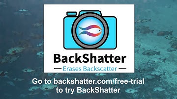 How to Remove Backscatter - Quickly using BackShatter