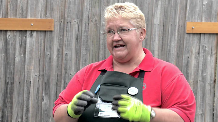 How To Improve Sandy Soil - DIY At Bunnings