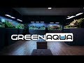 Beautiful planted tanks the green aqua showroom  2020 cinematic edition