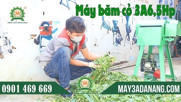 [Máy 3a đa năng] Máy băm cỏ voi, thân cây ngô 3A6,5Hp