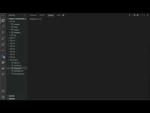 CS50p final project - More Detailed