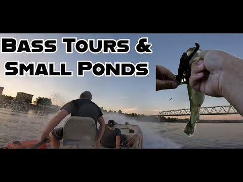 Bass fishing in ponds and rivers