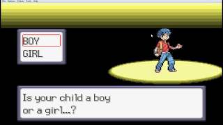 Let's Play Pokemon Ruby Destiny Life of Guardians blind ep.1 - featureing team dork