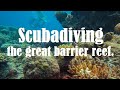 Scuba diving the great barrier reef