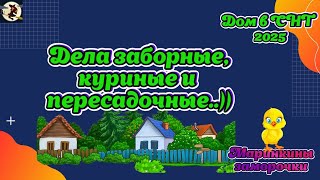 Дом в СНТ 2025. Дела заборные, куриные и пересадочные..))