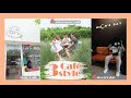 café hopping : 3café 3style (ฺbobo Café,Allotment Café,Moon’s day)