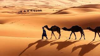 Desert Caravan -  Aaron Kenny  ***** قافلة الصحراء - ارون كيني