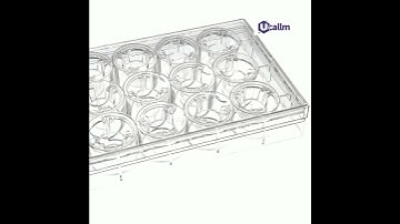 Beyond Migration: The Versatile World of Transwell Assays