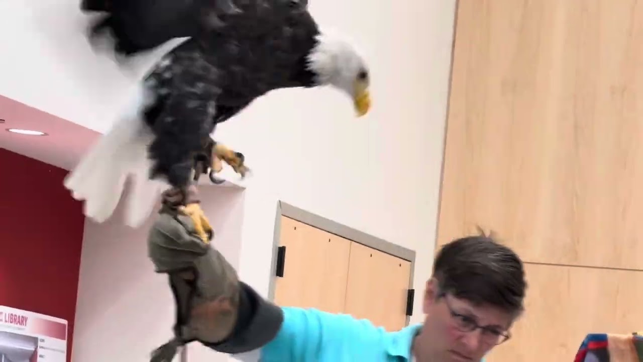 Meriden Science: Our Perfect Apex Avian Predators