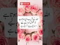Short Video Hazrat Ali in Quishan Urdu Aqual E Zareen💯❤️🎉