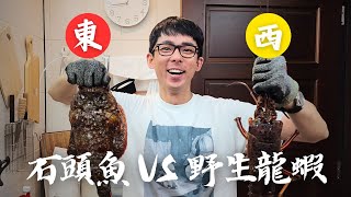 【誰來午餐】闊腹龍蝦老鼠斑一期一會。| 理事長蒞臨指導。Ft.打魚王翔哥. 阿滴英文@spearfishing_king @rayduenglish