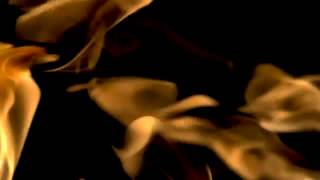 C kan -- Fuego Cruzado -- ft. Eslok Diaz