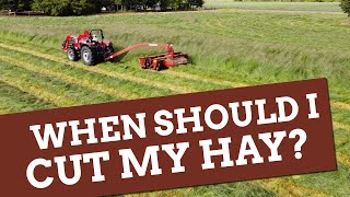 When is the best time to cut hay?