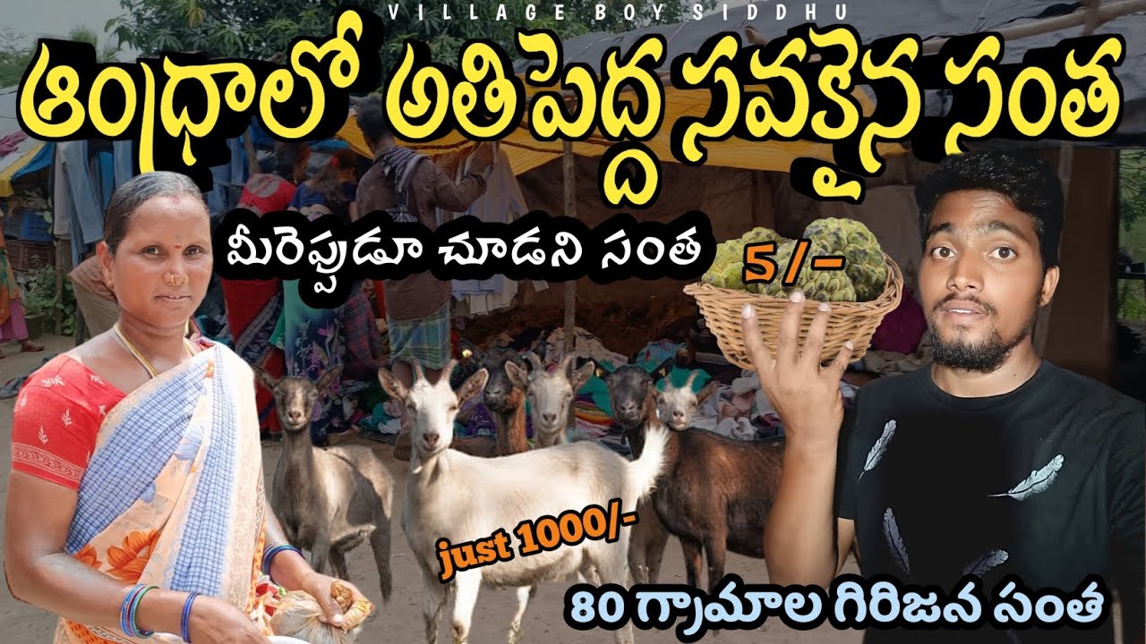 DEAD CHEAP TRIBAL MARKET IN ANDHAR&ODISHA BORDER || LOCAL MARKET ||