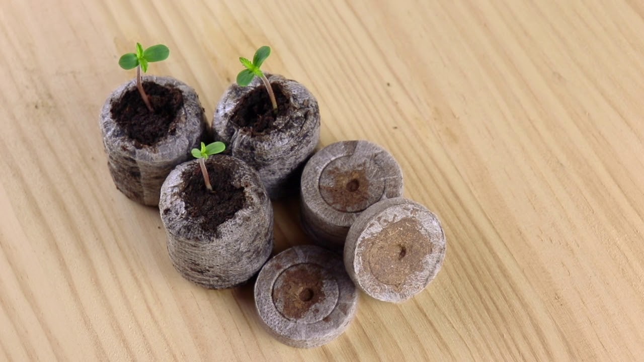 Jiffy - LMT Unboxing