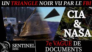 UFO ALERT / 7th BATCH: A BLACK TRIANGLE SEEN BY THE FBI / When the Pentagon uses NASA
