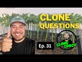Clone questions episode 31