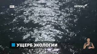 Водоканал Усть-Каменогорска сливал стоки в реку Иртыш