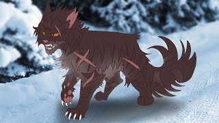 ИНТЕРАКТИВ | Как нарисовать Котов Воителей ИНТЕРАКТИВ | Как нарисовать Котов Воителей