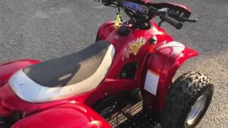 Apache RLX 100 Quad Bike