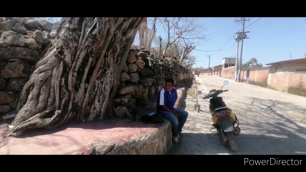 TEXAHUALCO un encanto de pueblo, mire como se aman el coatecomate y el Mezquite.