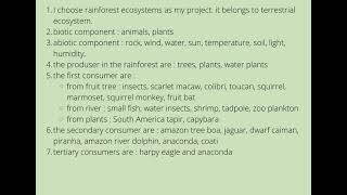 Raynars Rain Forest Energy Cycle