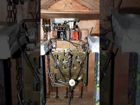 Cuckoo Clock Music Box Setting 