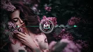 Ishq Na Karna Remix Song ××××××××××××××××××× | Old Hindi Remix Song | Mixing i