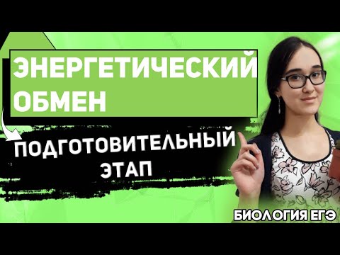 ЕГЭ Биология 2022 | Энергетический обмен | Подготовительный этап