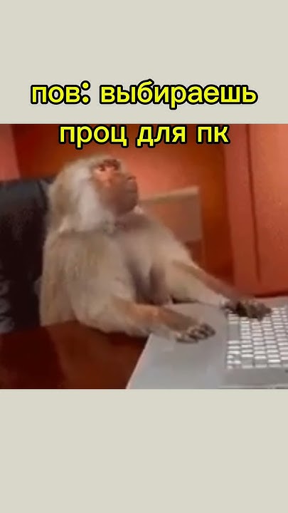 пов: выбираешь проц для пк #мем #shorts #смишно #пк - YouTube