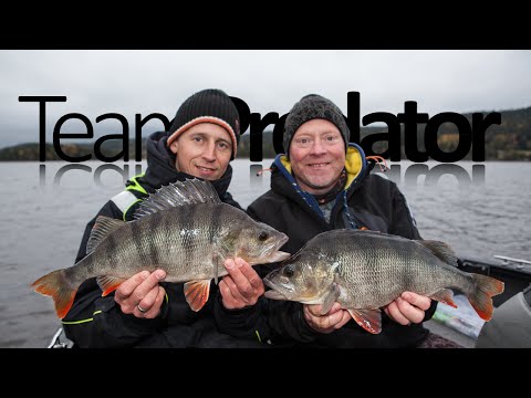 Video: Sådan Får Du En Uforglemmelig Dag