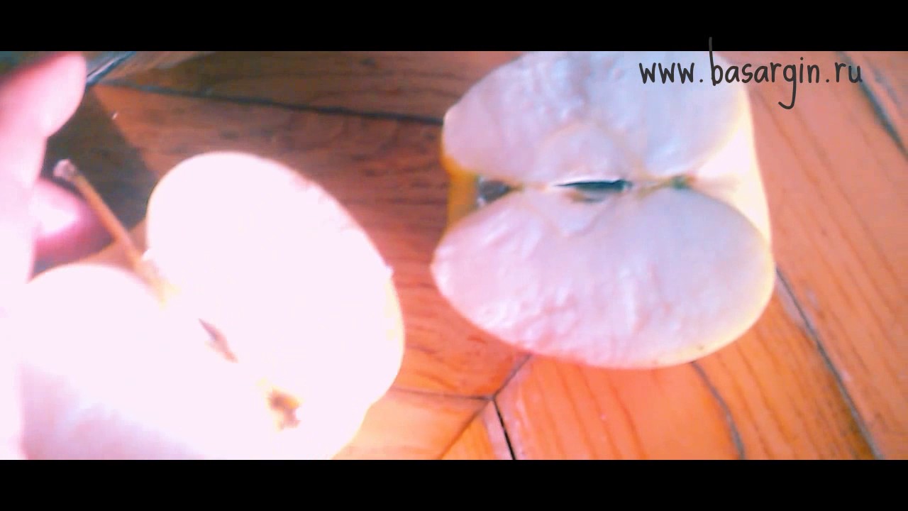 Настоящая реклама: Сады Бахчисарая - YouTube