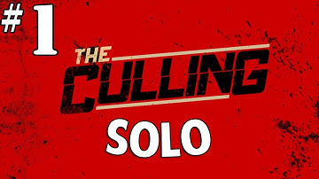 The Culling Solo | HACKER REPORTED | (PC Closed Alpha Gameplay)