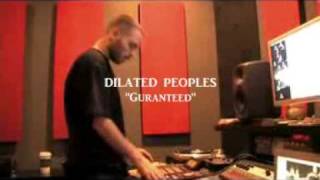 Alchemist Sample Library | "Guranteed" | Dilated Peoples
