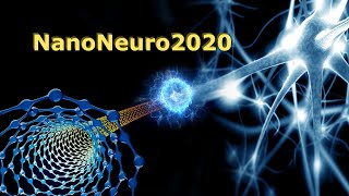 NanoNeuro 2020 Webinar (Full conference) | DIPC