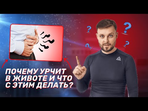 Почему урчит в животе и что с этим делать?|Практик оздоровления Максим Андреюк