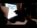 Sjoerd watching the computerscreen