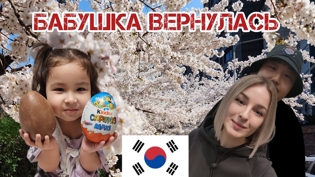 Катя корея влоги