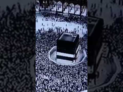 أيها الزائر هذا المكان مخصص للعبادة فتجنب فيه كل ما يخالف الشرع من بدع ومخالفات وفتن ومنكرات و