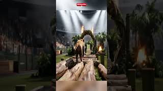 "Tiger Takes on Extreme Jungle Obstacle Course! 🐅🔥"