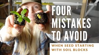 Four mistakes to avoid when soil blocking!