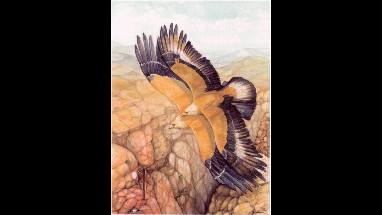 Impressie van enige tentoonstellingen Stuuh