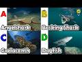 ABC phonics animals | ABC Sea Animals song | Alphabets Kids Song #angelshark