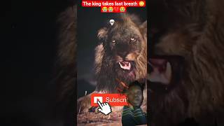 The king takes last breath 😳😭😭💔😭 #lion #love #wildlife
