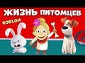 Роблокс Секретная жизнь домашних питомцев 🐶 Secret Life of Pets roblox 👉 роблокс на русском