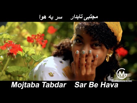        مجتبی تابدار سر به هوا