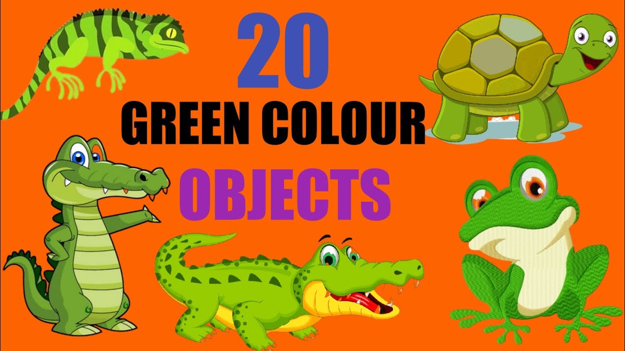 Green colour things | 20 Green colour objects |Learn green colour ...