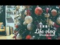 【北欧暮らし】クリスマス色のショッピングモール｜散歩｜早朝ドライブ