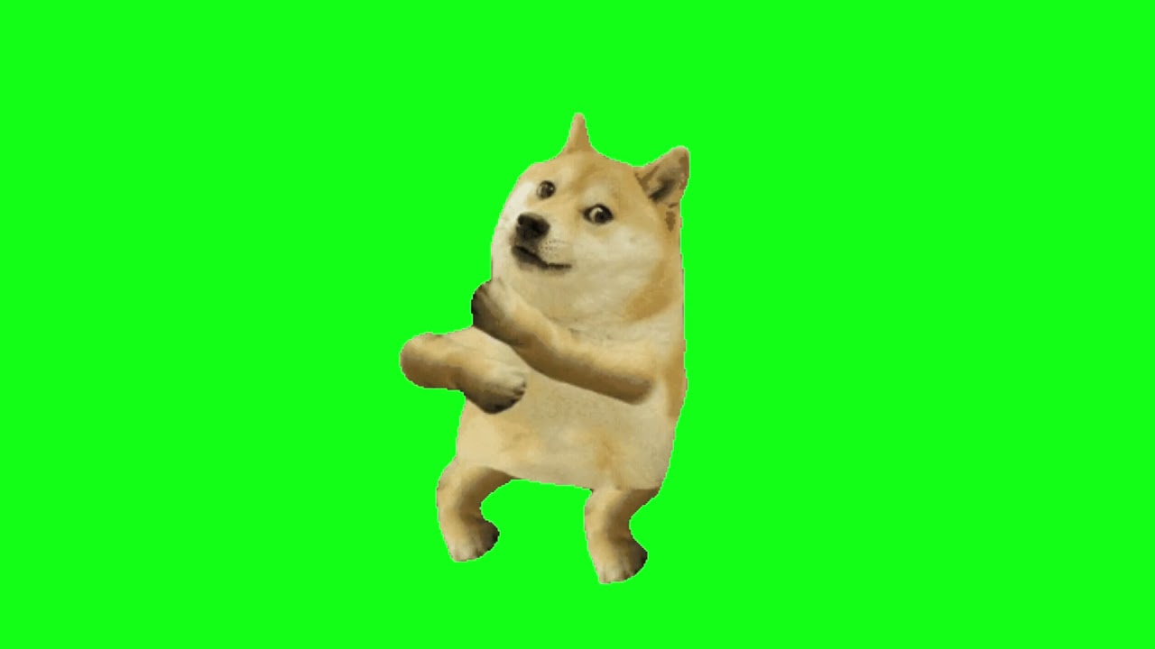 Doge Dancing Green Screen Video YouTube