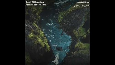 سورة المنافقون : بدر التركي
